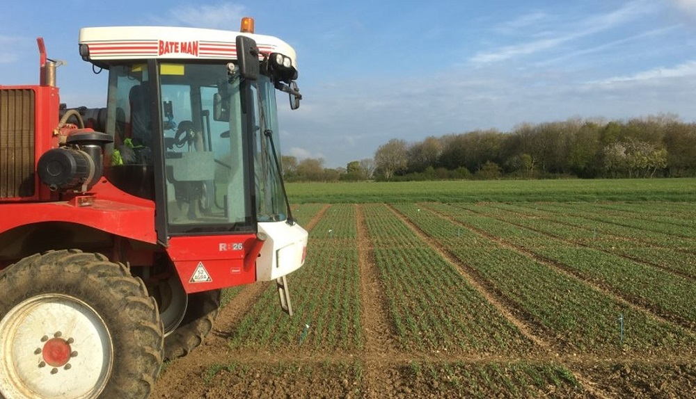 Nitrogen use efficiency plots in winter wheat